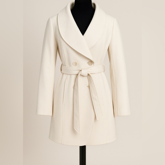 American Eagle Outfitters Winter White Jacket - Picture 1 of 5